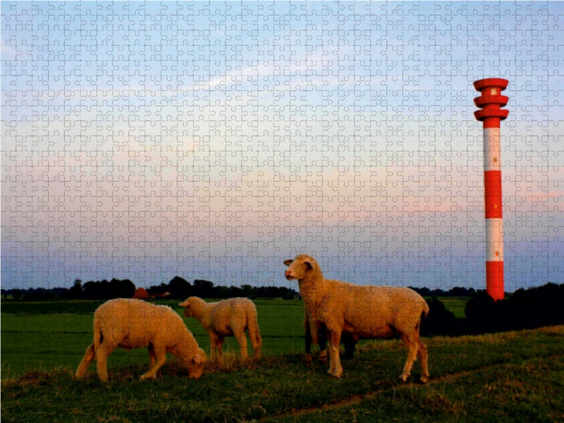 Schafe am Leuchtturm 1000 Teile Puzzle quer - CALVENDO Foto-Puzzle'