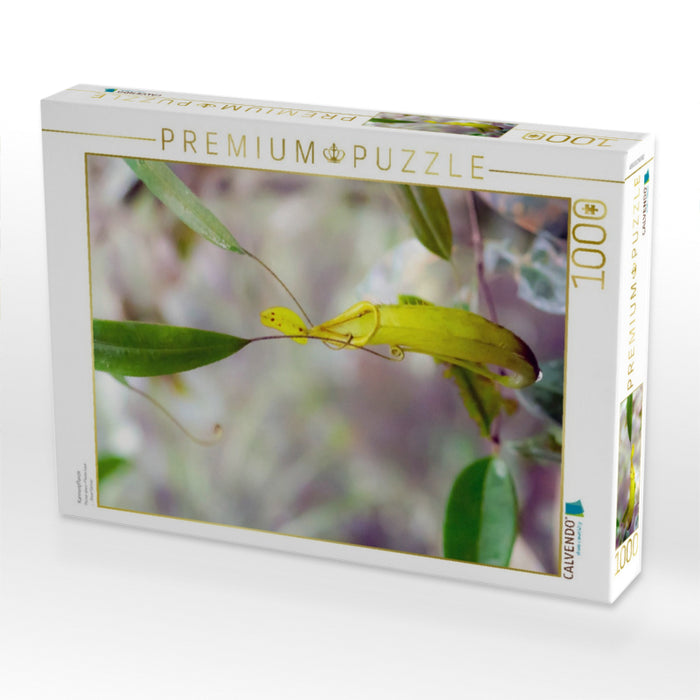 Kannenpflanze - CALVENDO Foto-Puzzle'