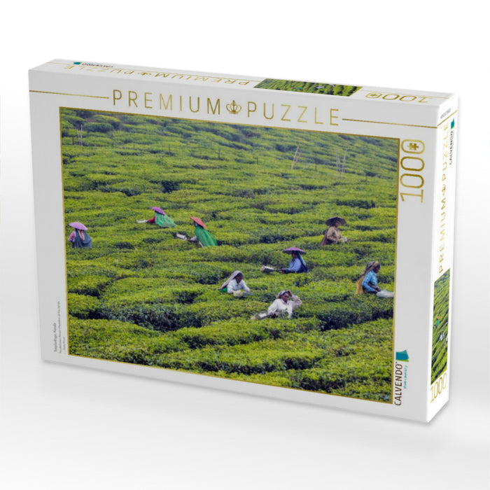 Teeplantage, Kerala - CALVENDO Foto-Puzzle'