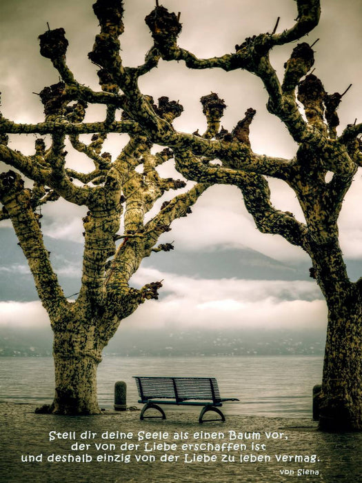 Ein Motiv aus dem Kalender Die Liebe und Das Herz - CALVENDO Foto-Puzzle'