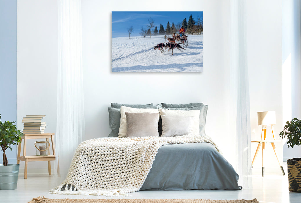 Premium Textil-Leinwand Premium Textil-Leinwand 120 cm x 80 cm quer Ein Motiv aus dem Kalender Schlittenhundesport