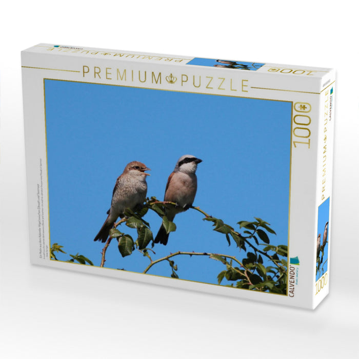 Ein Motiv aus dem Kalender Vögel zwischen Elbwatt und Tävsmoor - CALVENDO Foto-Puzzle'