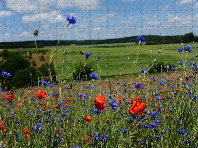 Ein Motiv aus dem Kalender Roter Mohn, bunte Wiesen - CALVENDO Foto-Puzzle'