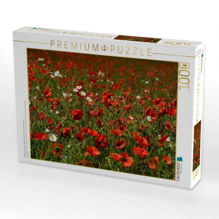 Ein Motiv aus dem Kalender Roter Mohn, bunte Wiesen - CALVENDO Foto-Puzzle'
