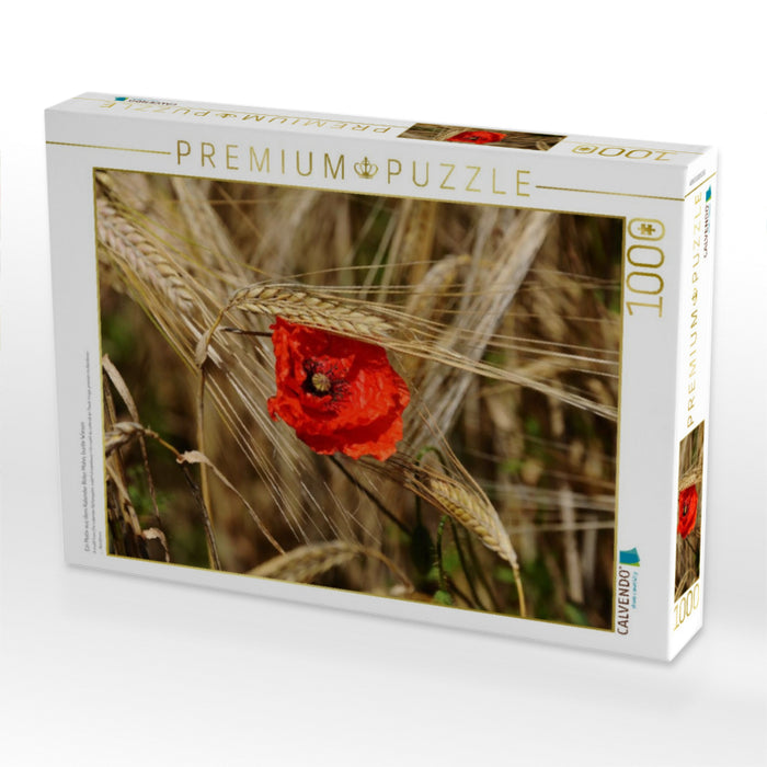 Ein Motiv aus dem Kalender Roter Mohn, bunte Wiesen - CALVENDO Foto-Puzzle'