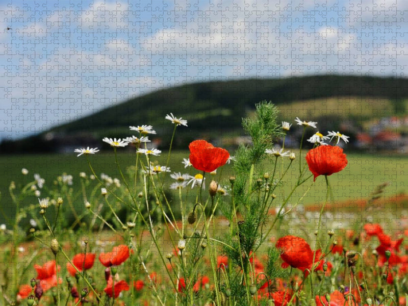 Ein Motiv aus dem Kalender Roter Mohn, bunte Wiesen - CALVENDO Foto-Puzzle'