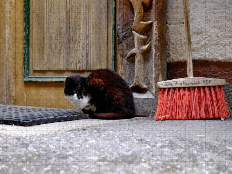Katze in Filzmoos - CALVENDO Foto-Puzzle'