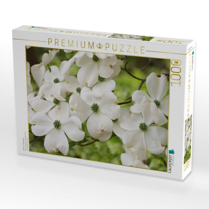 Blumen-Hartriegel - CALVENDO Foto-Puzzle'