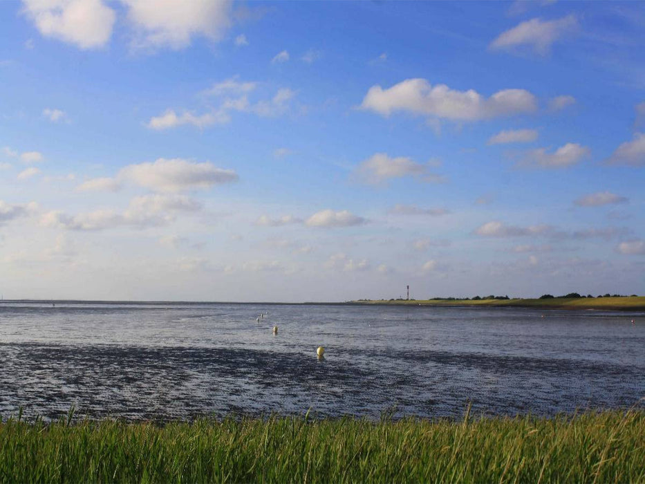 Eckwarderhörne bei Ebbe - CALVENDO Foto-Puzzle'