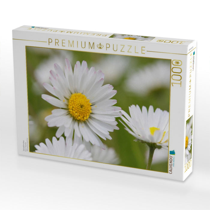 Gänseblümchen - CALVENDO Foto-Puzzle'