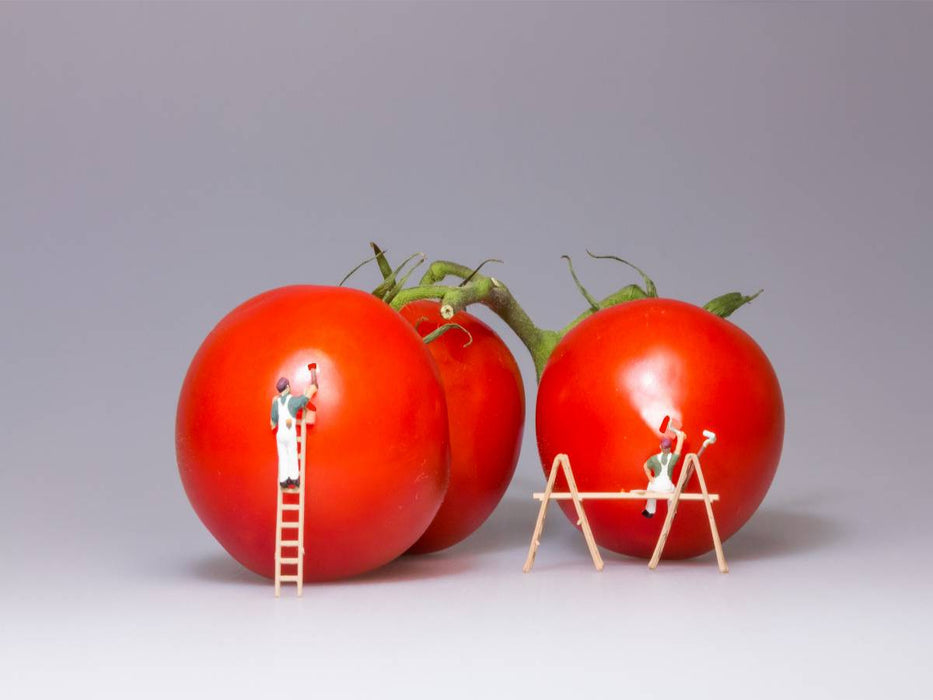 Ein Motiv aus dem Kalender Tomatenmaler... und andere Mini-Welten - CALVENDO Foto-Puzzle'