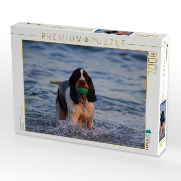 Sigi - Hund spielt im Wasser - CALVENDO Foto-Puzzle'