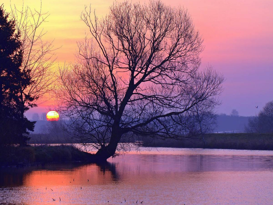 Tageserwachen an der Hamme - CALVENDO Foto-Puzzle'