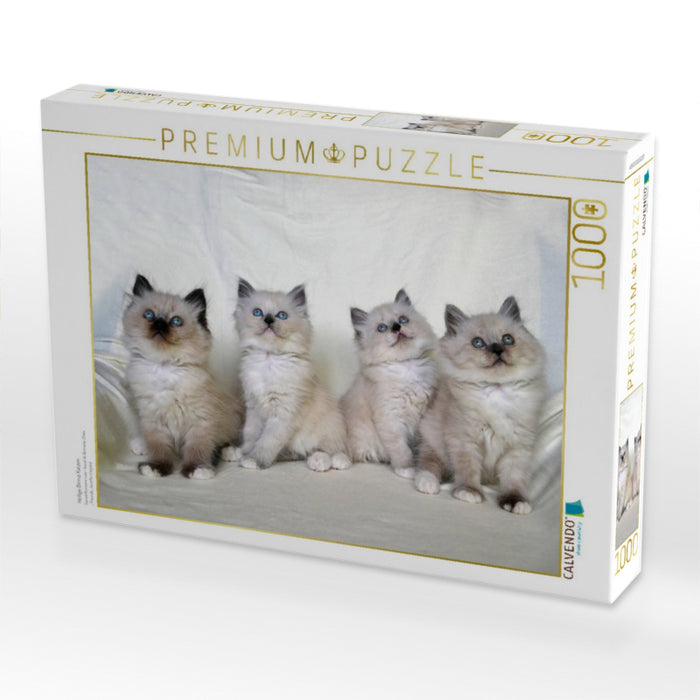 Heilige Birma Katzen - CALVENDO Foto-Puzzle'
