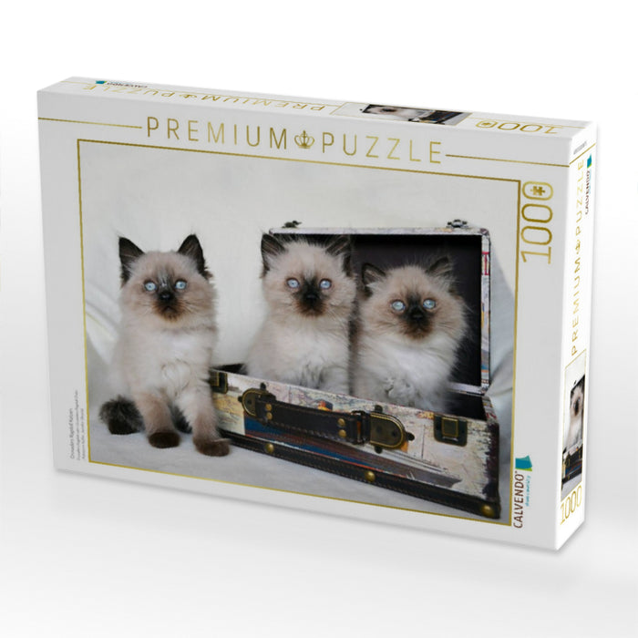 Crusaders Ragdoll Katzen - CALVENDO Foto-Puzzle'