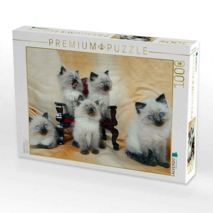 Ragdoll Kätzchen - CALVENDO Foto-Puzzle'