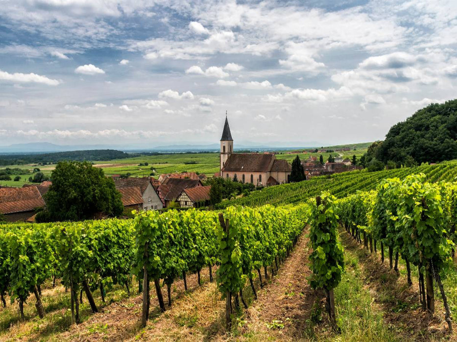 Weinberge - CALVENDO Foto-Puzzle'