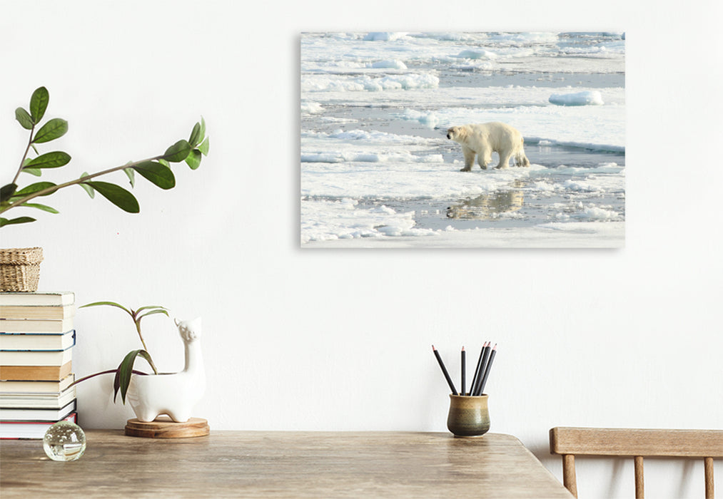 Toile textile premium Toile textile premium 75 cm x 50 cm de large Un motif du calendrier Ours polaires - Rois de l'Arctique 