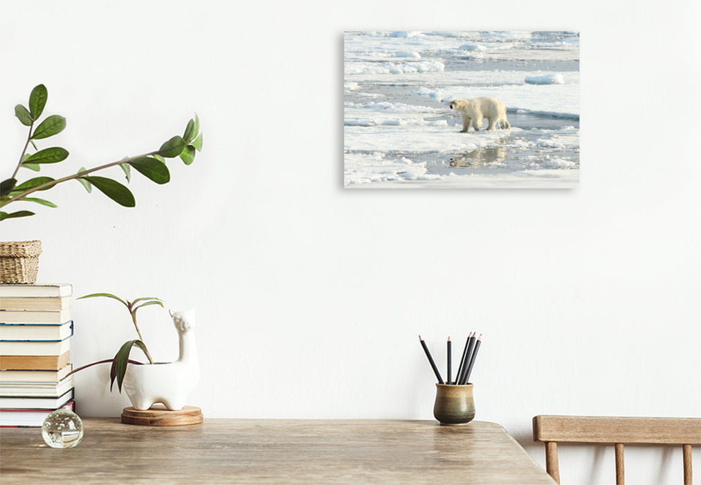 Premium Textil-Leinwand Premium Textil-Leinwand 75 cm x 50 cm quer Ein Motiv aus dem Kalender Eisbären - Könige der Arktis