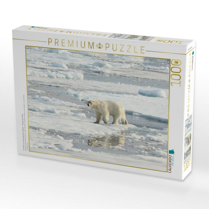 Ein Motiv aus dem Kalender Eisbären - Könige der Arktis - CALVENDO Foto-Puzzle'