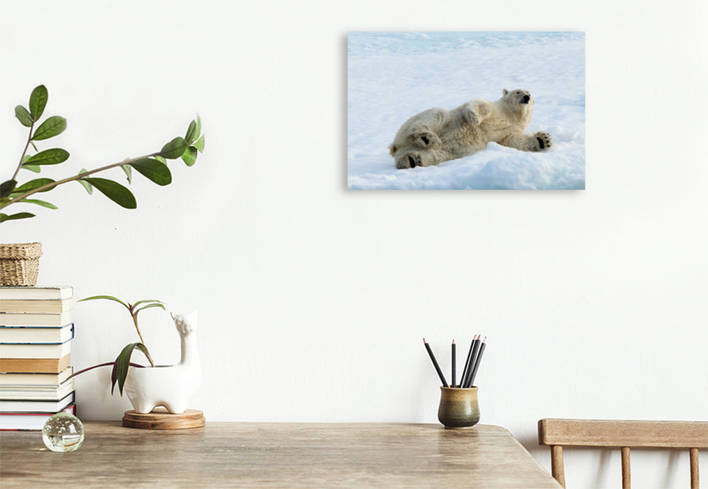 Premium Textil-Leinwand Premium Textil-Leinwand 45 cm x 30 cm quer Ein Motiv aus dem Kalender Eisbären - Könige der Arktis