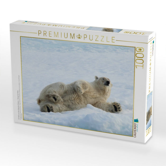 Ein Motiv aus dem Kalender Eisbären - Könige der Arktis - CALVENDO Foto-Puzzle'