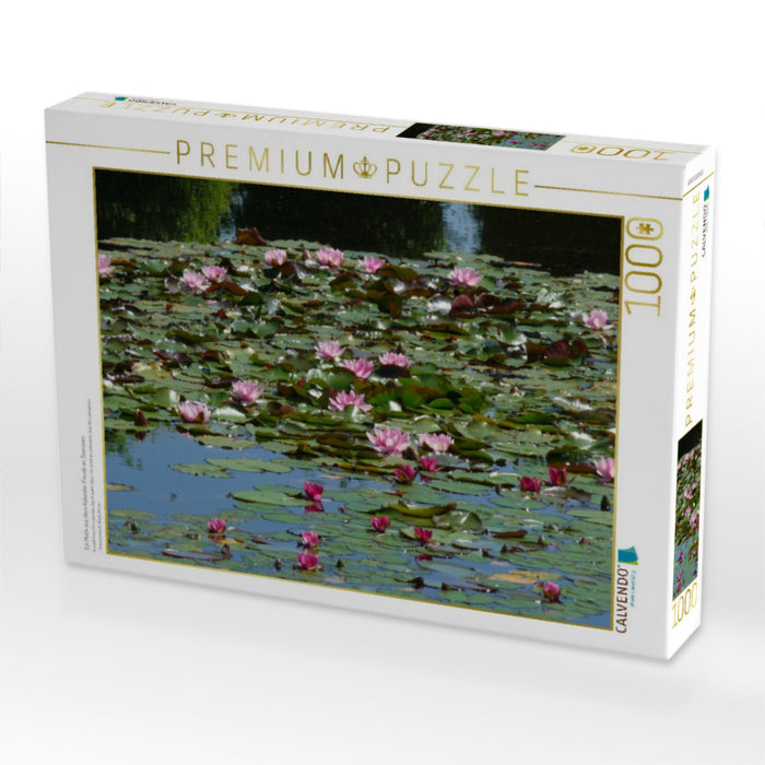 Ein Motiv aus dem Kalender Freude an Seerosen - CALVENDO Foto-Puzzle'