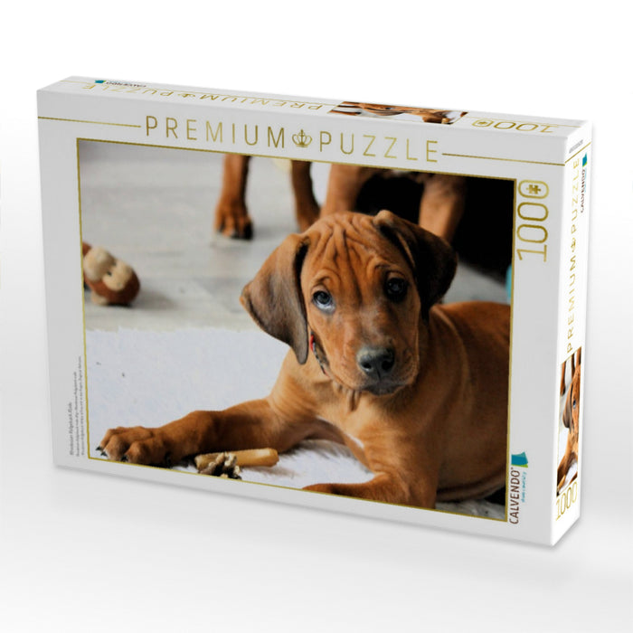 Rhodesian Ridgeback Rüde - CALVENDO Foto-Puzzle'