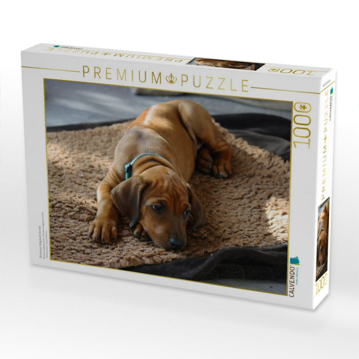 Rhodesian Ridgeback Hündin - CALVENDO Foto-Puzzle'