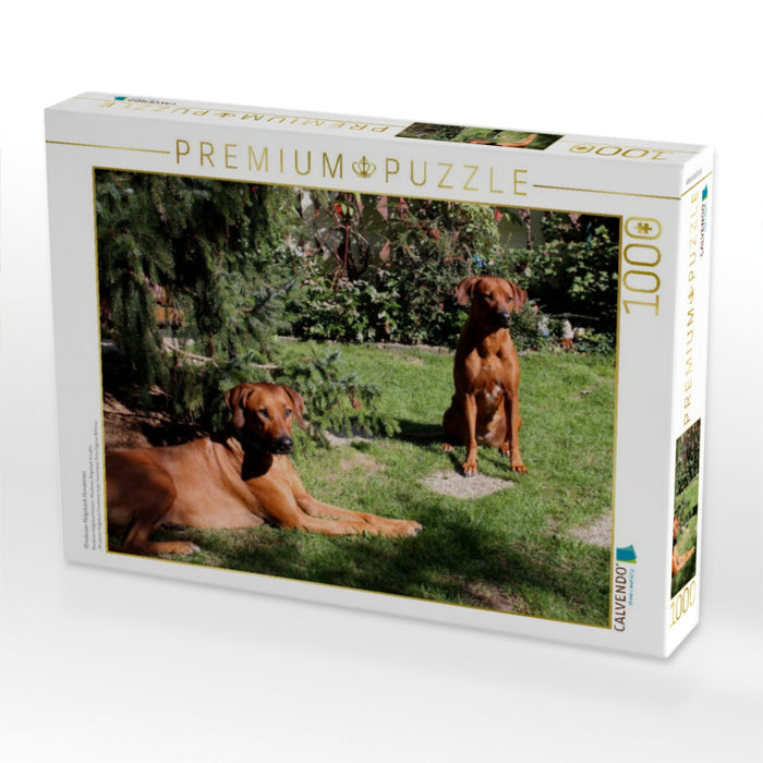 Rhodesian Ridgeback Hündinnen - CALVENDO Foto-Puzzle'
