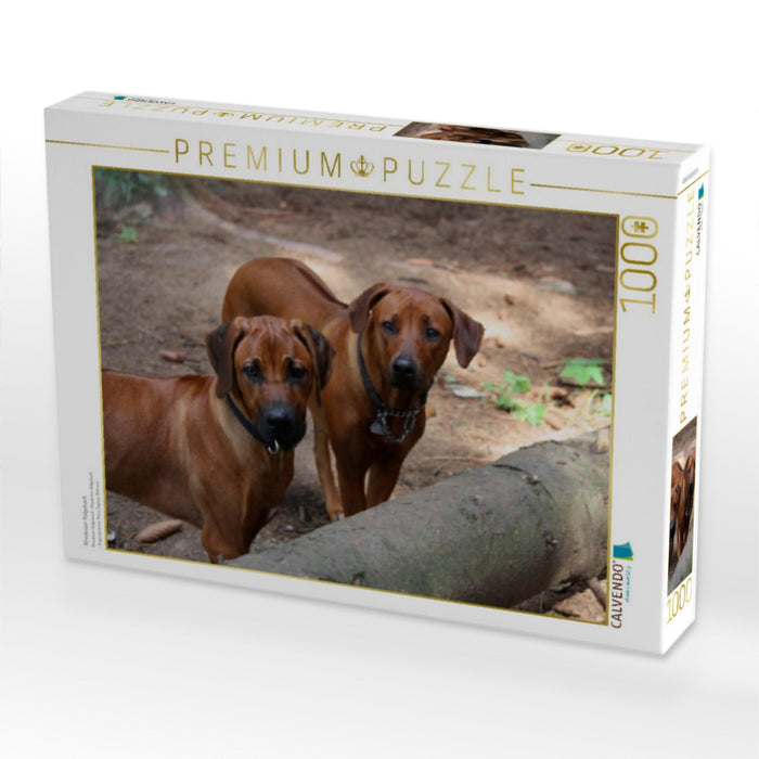 Rhodesian Ridgeback - CALVENDO Foto-Puzzle'