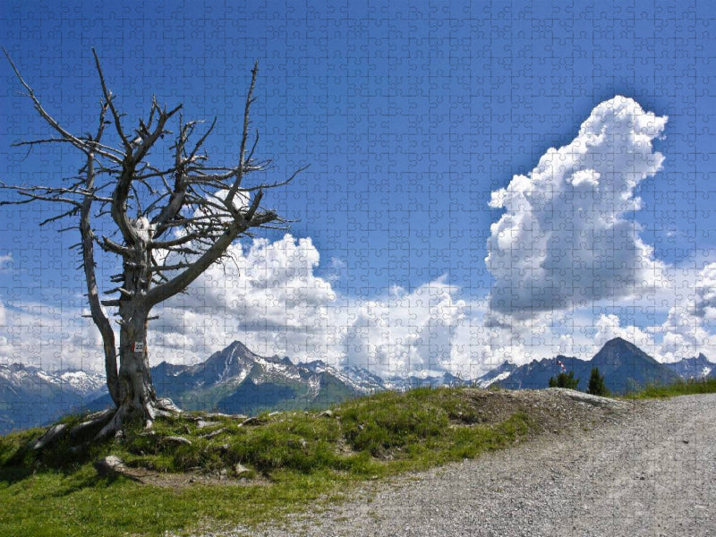 Auf dem Penken, oberhalb Mayrhofen, Zillertal - CALVENDO Foto-Puzzle'