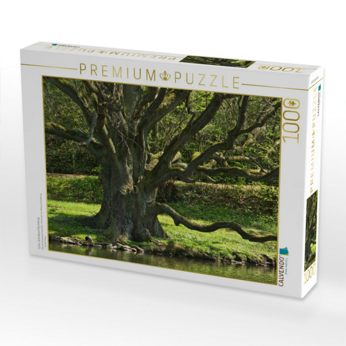 Eiche, Schloßpark Bückeburg - CALVENDO Foto-Puzzle'