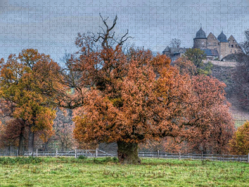 Alte Eiche im Tierpark Sababurg - CALVENDO Foto-Puzzle'