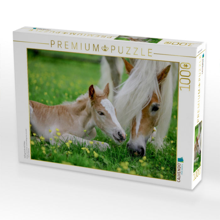Haflingerstute mit Fohlen - CALVENDO Foto-Puzzle'