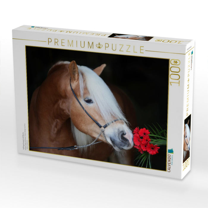 Haflingerhengst mit Blume - CALVENDO Foto-Puzzle'