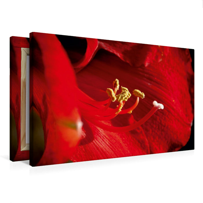 Toile textile premium Toile textile premium 90 cm x 60 cm paysage Amaryllis 