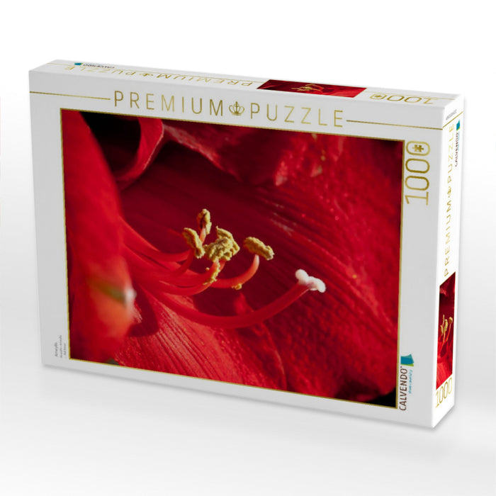 Amaryllis - CALVENDO Foto-Puzzle'