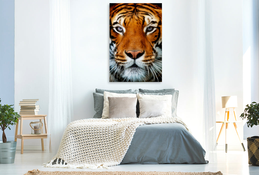 Toile textile premium Toile textile premium 80 cm x 120 cm de haut portrait de tigre 