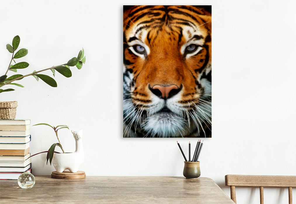 Premium Textil-Leinwand Premium Textil-Leinwand 80 cm x 120 cm  hoch Tiger Portrait