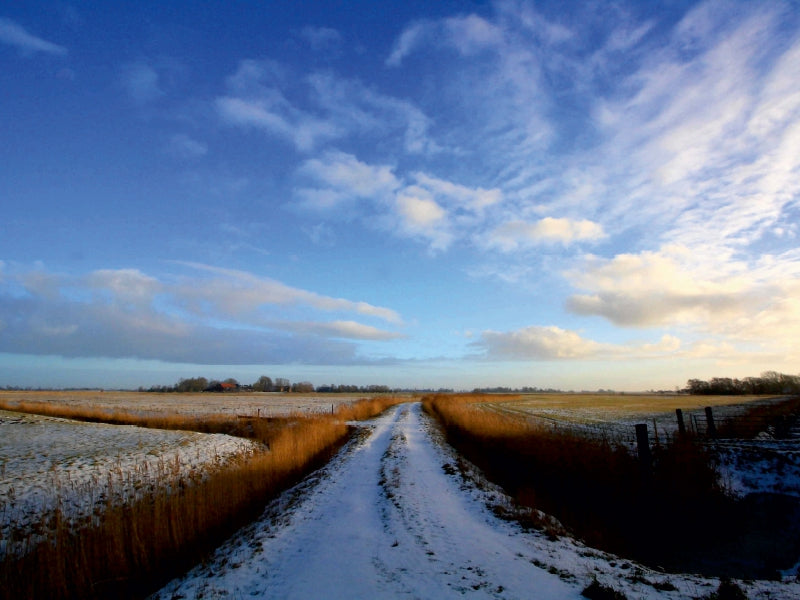 Winterliche Felder in Butjadingen 1000 Teile Puzzle quer - CALVENDO Foto-Puzzle'
