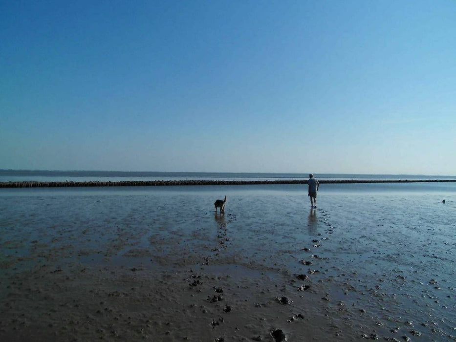 Wattspaziergang mit Hund an der Nordsee - CALVENDO Foto-Puzzle'