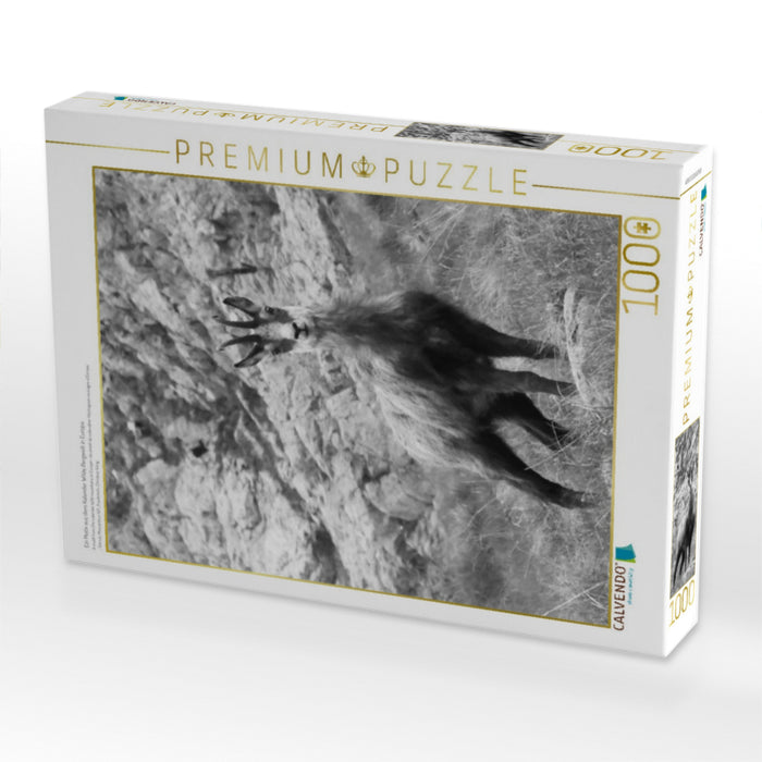 Ein Motiv aus dem Kalender Wilde Bergwelt in Europa - CALVENDO Foto-Puzzle'