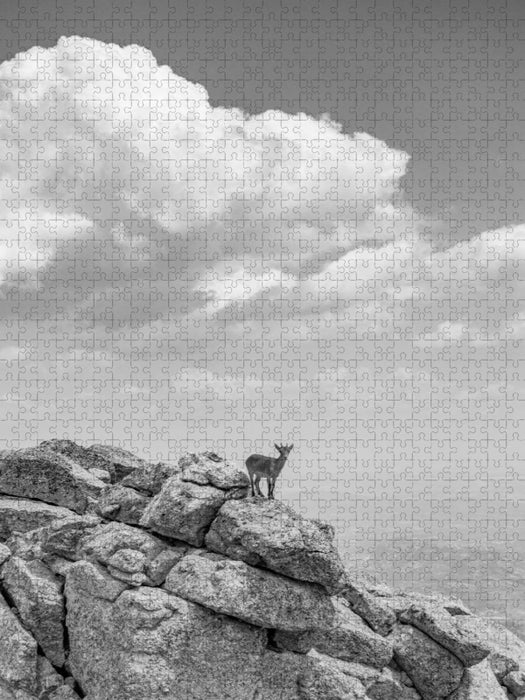 Ein Motiv aus dem Kalender Wilde Bergwelt in Europa - CALVENDO Foto-Puzzle'