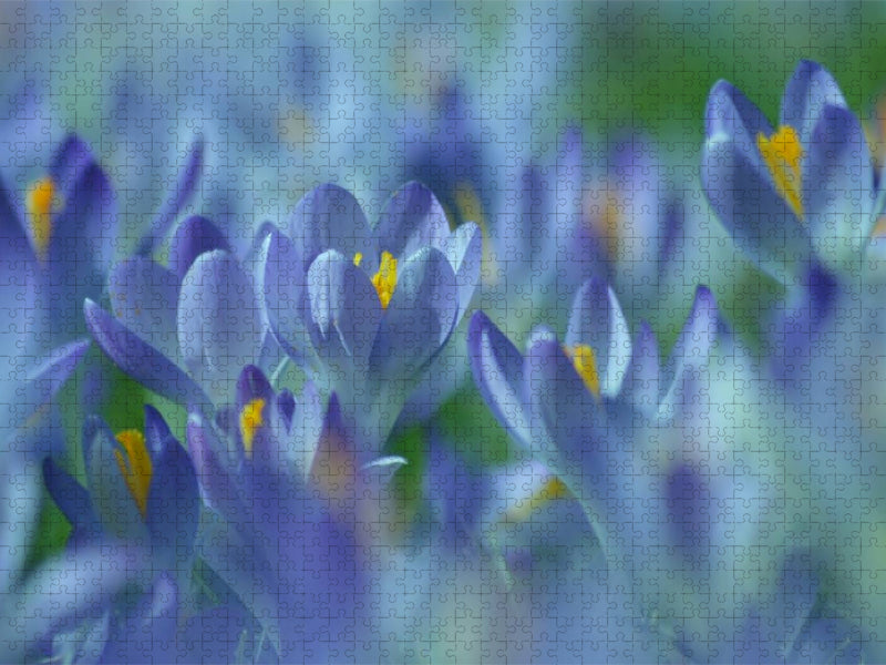 Frühlingstraum in Blau - CALVENDO Foto-Puzzle'
