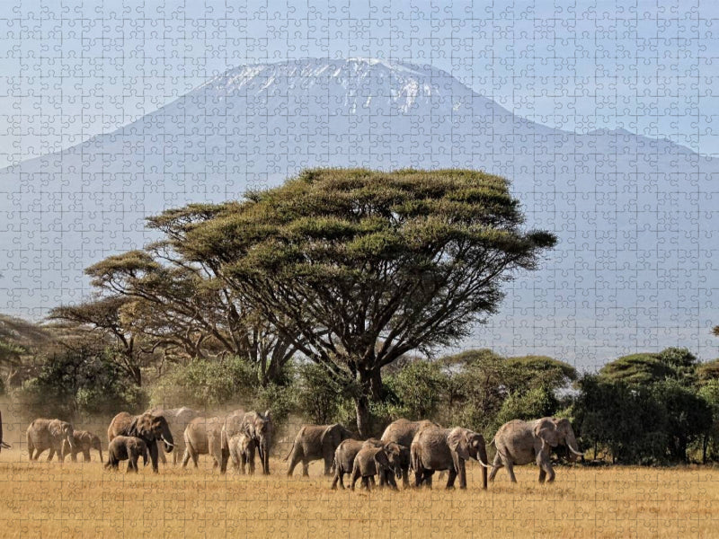 Majestätische Tiere vor dem Berg der Berge: Elefanten vor dem Kilimandjaro ! Kenia - CALVENDO Foto-Puzzle'