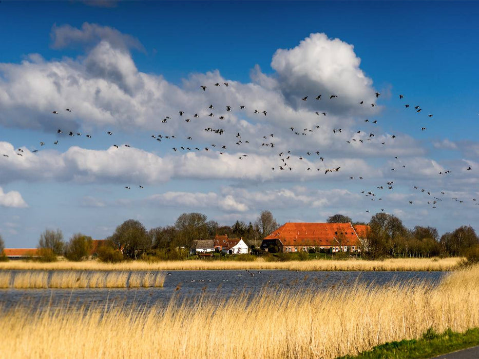 Bauernhaus bei Greetsiel - CALVENDO Foto-Puzzle'