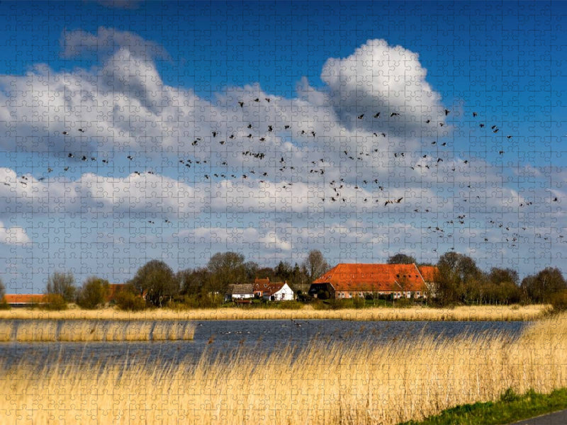 Bauernhaus bei Greetsiel - CALVENDO Foto-Puzzle'