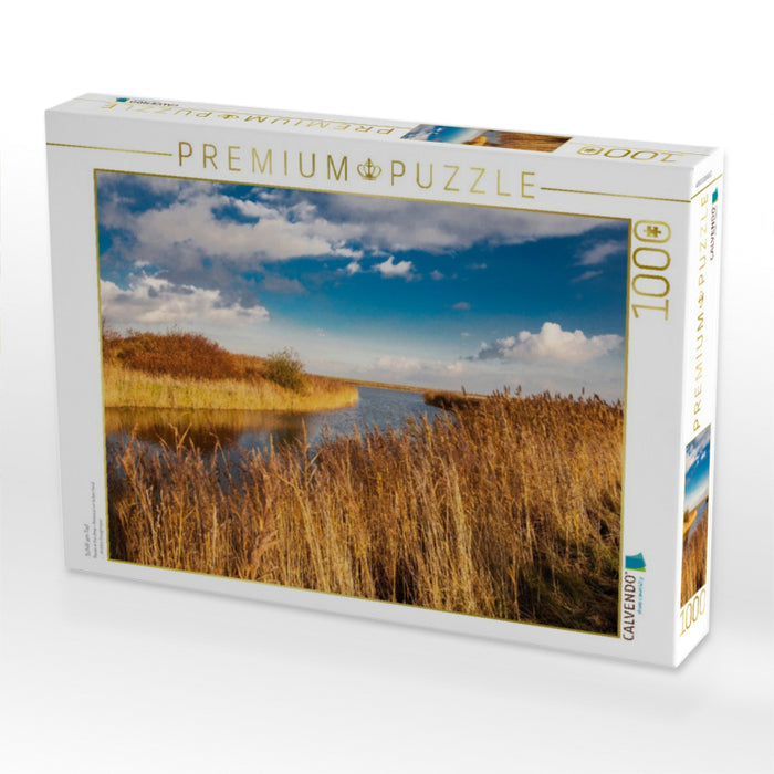 Schilf am Tief - CALVENDO Foto-Puzzle'