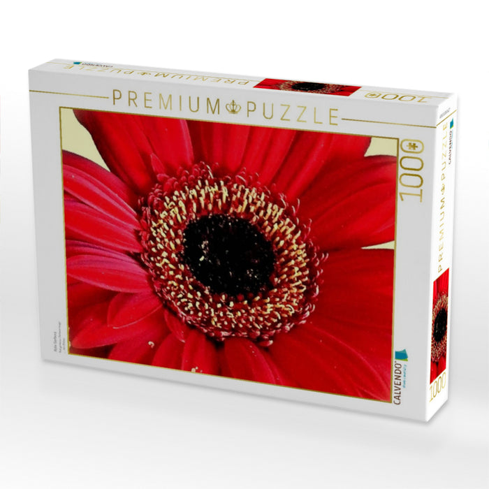 Rote Gerbera - CALVENDO Foto-Puzzle'